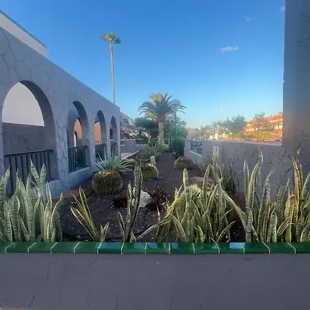 Casa Montana Amarilla 60 * Costa Del Silencio