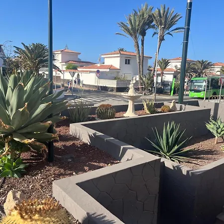 Casa Montana Amarilla 60 Διαμέρισμα Costa Del Silencio