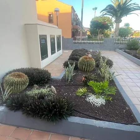 Casa Montana Amarilla 60 Διαμέρισμα *
