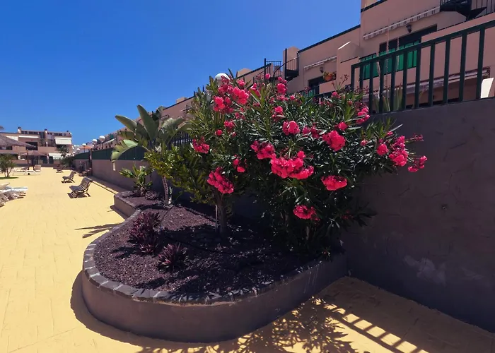 شقة Casa Montana Amarilla 60 طوستا ديل سيلونثيو