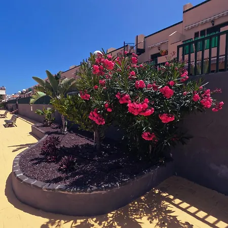 Apartmán Casa Montana Amarilla 60 Costa Del Silencio